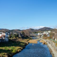 ジャーマン・インターナショナルCEOがユーロニュースの記事に引用