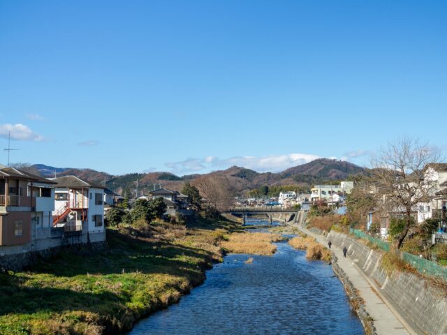 ジャーマン・インターナショナルCEOがユーロニュースの記事に引用