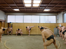 Deep Japan - The Sumo Experience