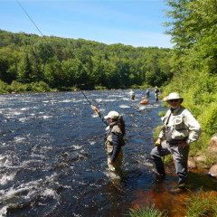 tenkara fishing