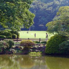 Shinjuku Gyoen