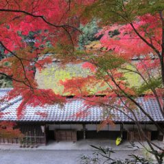 Bicycle tours of Kyoto Japan