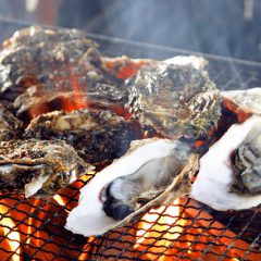 Hiroshima Oyster Season