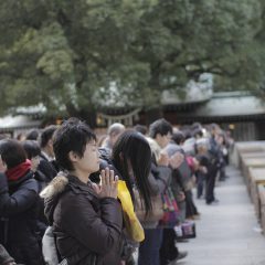 Shrines in Tokyo