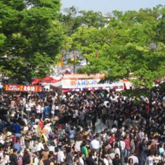 Tokyo Thai Festival