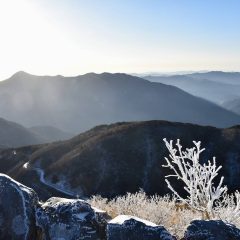 Ryoma Holiday Consulting Event in Kochi Prefecture