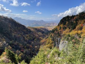 Discovering #FukushimaFriendly – Read all about JI Core 50 member Daniel Moore’s recent adventure in northeast Japan!