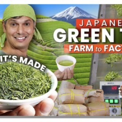 YouTuber John Daub Takes Viewers on an Adventure to Shizuoka to See How Japanese Green Tea is Made