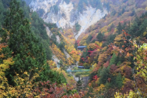 The Japan Times Publishes Article on Yonezawa's 'Secret' Ubayu Onsen